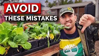 9 Garden Mistakes We Wont Repeat Next Year