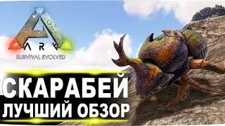 Скарабей (Dung Beetle) в АРК. Лучший обзор: приручение и способности жуков в ark