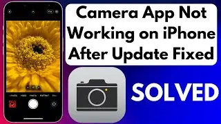 How to Fix Camera App Not Working on iPhone After Update Solved