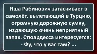 Рабинович и Сумка с Неприятным Запахом в Самолёте! Сборник Изумрудных Анекдотов №130