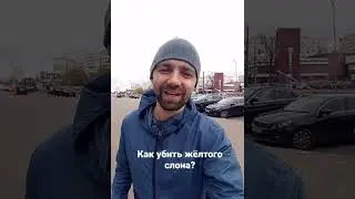 как убить жёлтого слона?