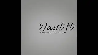 "Want It" - Young Dopey X Selo X Sebi