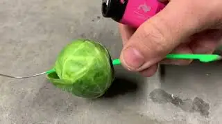 Can sparklers burn through green brussel sprouts