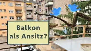 Vögel in der Stadt fotografieren, ohne die Wohnung zu verlassen? - Projekt Balkonansitz