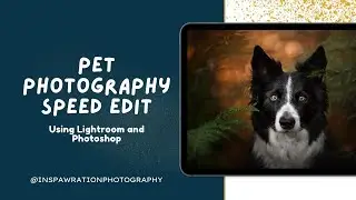 Editing Loki: Speedy Pet Portrait Using Lightroom and Photoshop