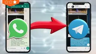 Перенос чата из WhatsApp в Telegram за 47 секунд