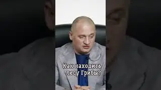 ➣ Как Находить в Лесу Грибы: Методы Поиска