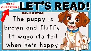 LET'S READ! | READING COMPREHENSION | PRACTICE READING SIMPLE ENGLISH FOR KIDS | TEACHING MAMA