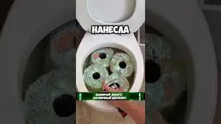 Эксперимент с унитазом!