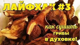 Как сушить грибы в духовке | Домоед