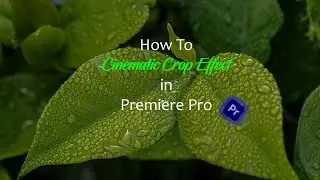 🔴🔵 How to create cinematic crop effects in Premiere Pro tutorial 🔴🔵