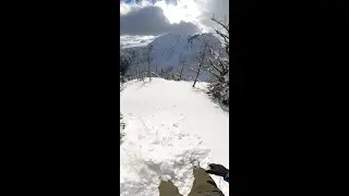 Travis Rice glides through the Trees in Alaska