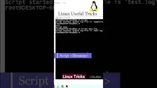 Scrit Command in Linux #linux #linuxcommands #linuxtricks