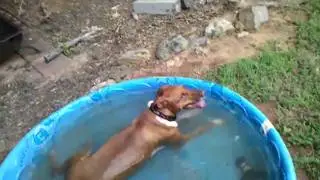 Mia says it is too hot to play ball