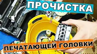 Как прочистить головку на струйном принтере Epson L800