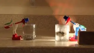 Drinking Birds Speed Tips