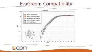 abm - qPCR Products Overview