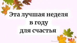 Это лучшая неделя в году, для создания незабываемых воспоминаний.