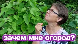 ЗАЧЕМ ОГОРОД ЕСЛИ НА НЕМ НИЧЕГО НЕ РАСТЁТ? ЩИ ИЗ КАРЕЛЬСКИХ ГРИБОВ, ПОДСТРИГЛА ВСЕ ТОМАТЫ