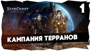 ✨Полное прохождение Starcraft Remastered► Кампания Терранов [1]