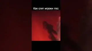 Как спят игроки ГПО