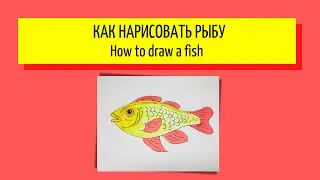 Как нарисовать рыбу - How to draw a fish