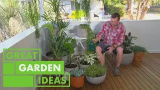 How to Grow and Care for Potted Plants | GARDEN | Great Home Ideas