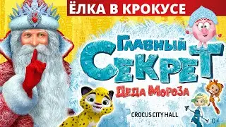 Главный секрет Деда Мороза (2018/2019)