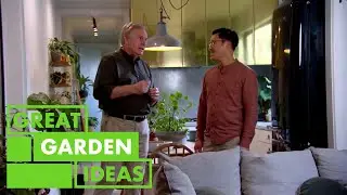 Potted Plants 101 | GARDEN | Great Home Ideas