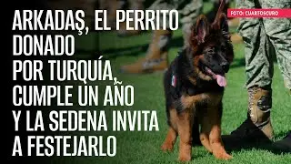 Arkadaş, el perrito donado por Turquía, cumple un año y la Sedena invita a festejarlo