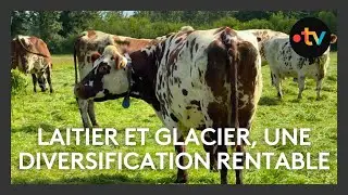 Une diversification vers la production de glaces pour ce couple d'agriculteurs