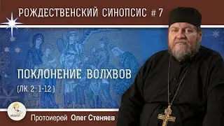 Рождественский синопсис #7. Поклонение волхвов (Мф. 2:1-12).  Протоиерей Олег Стеняев