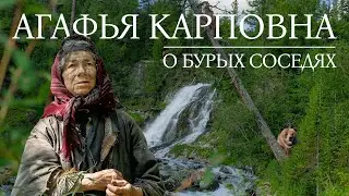 Агафья Карповна о бурых соседях