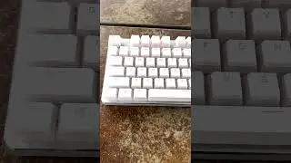 These are some weird keycaps 