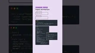 ✨ Input animation #html #htmlcss #webdesign #css3 #webdevelopment #html5 #css #coding #python