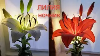 ОБЗОР МК "ЛИЛИЯ НОЧНИК" от Любови Малюгиной