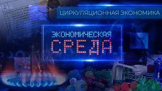 Деньги из мусора. Как заработать на отходах | Циркулярная экономика | Экология.Экономическая среда