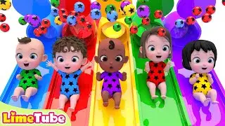 Exciting slide ball pool | One Little Finger & Bingo + Nursery Rhymes | Kindergarten | LimeAndToys