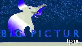 Big Picture DVD Productions (1998) in Blue Sea Ethereal Voices