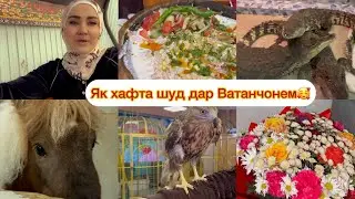 Куртобхури😇 Зоопарки ашани Душанбе🥳Ягала новигари 🥰😍