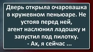 Домохозяйка с Кружевной Пилоткой и Торговый Агент! Сборник Изумрудных Анекдотов №13