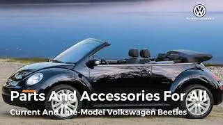 OEM VW Beetle Parts from VWPartsVortex.com