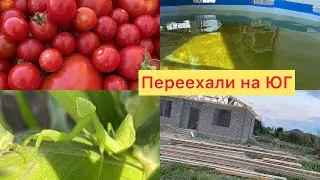 Влоги на ЮГЕ🏠2️⃣6️⃣0️⃣Сад радует✅Кто ищет ДОМ на юге?✅Ёжики приходят✅Бассейн дал осадок✅