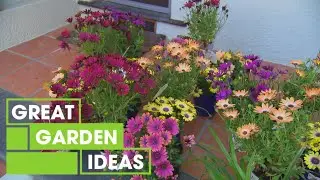 How to Add Curb Appeal to Your Front Yard | GARDEN | Great Home Ideas