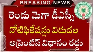 Ap Dsc 2024 Notification Latest News Today 