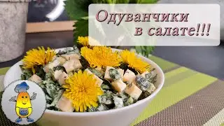 Салат из листьев одуванчика и крапивы | Как приготовить салат из листьев одуванчика