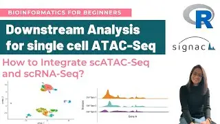 Comprehensive Guide to Downstream Analysis for Single-Cell ATAC-Seq in R | scATAC-Seq Workflow