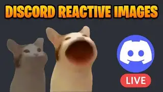 How to Setup Reactive Images on Discord | PNG VTuber