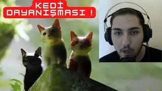 BİR KEDİ OLMADIĞIMIZ KALMIŞTI ! STRAY (1. BÖLÜM)