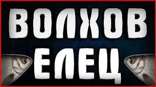 ВОЛХОВ ► ЕЛЕЦ ► РУССКАЯ РЫБАЛКА 4